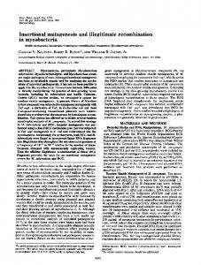 Insertional mutagenesis and illegitimate recombination - Europe PMC