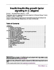 Insulin/insulin-like growth factor signaling in C. elegans