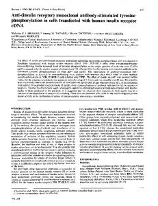 insulin receptor - Europe PMC