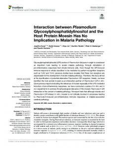 Interaction between Plasmodium ... - Semantic Scholar