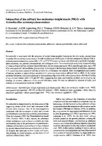 Interaction of the salivary low-molecular-weight mucin ... - Springer Link