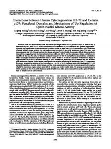 Interactions between Human Cytomegalovirus ... - Journal of Virology