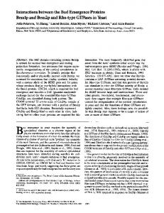 Interactions between the Bud Emergence Proteins ... - BioMedSearch