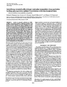 Interferon-treated cells release vesicular stomatitis virus particles ...