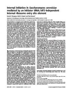 Internal initiation in Saccharomyces cerevisiae ... - Semantic Scholar