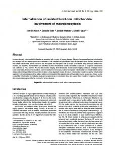 Internalization of isolated functional mitochondria - Wiley Online Library