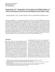 Intracellular Ca2+ Regulation During Neuronal ...