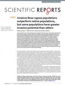 Invasive Rosa rugosa populations outperform native ... - DiVA portal
