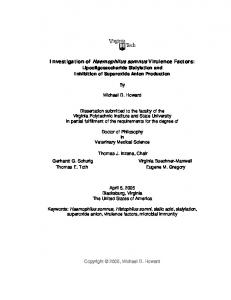 Investigation of Haemophilus somnus Virulence Factors: