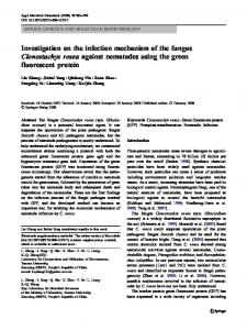 Investigation on the infection mechanism of the fungus ... - Springer Link