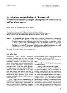 Investigations on some Biological Characters of Pseudococcus ...