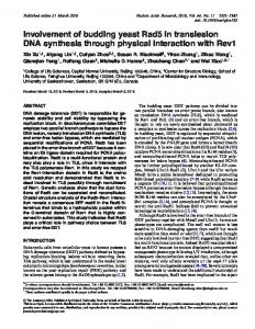 Involvement of budding yeast Rad5 in translesion ... - Oxford Journals