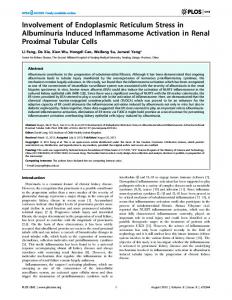 Involvement of Endoplasmic Reticulum Stress in ... - CiteSeerX