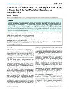 Involvement of Escherichia coli DNA Replication Proteins in ... - PLOS