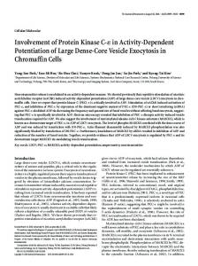 Involvement of Protein Kinase C- in Activity ... - Journal of Neuroscience