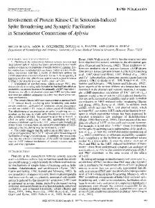 Involvement of Protein Kinase C in Serotonin-Induced Spike ...