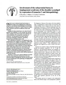 Involvement of the subacromial bursa in impingement syndrome of the ...