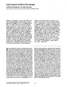 Ionic Channels in Murine Macrophages