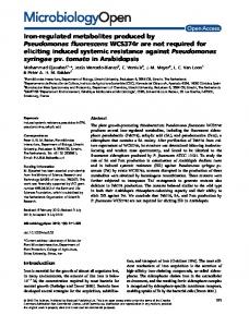 Ironregulated metabolites produced by Pseudomonas ... - CSIC Digital