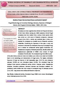 isolation and antibacterial property of endophytic fungi isolated ... - wjpps