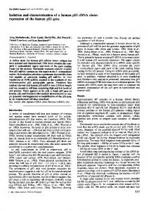 Isolation and characterization of a human p53 cDNA clone: expression ...