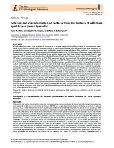 Isolation and characterization of bacteria from the feathers of ... - BioOne