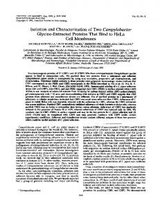 Isolation and Characterization of Two Campylobacter Cell Membranes