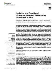 Isolation and Functional Characterization of ... - Semantic Scholar