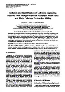 Isolation and Identification of Cellulose Degrading ... - CiteSeerX