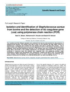 Isolation and identification of Staphylococcus ... - Academic Journals