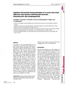 Isolation and partial characterization of a novel ... - Wiley Online Library