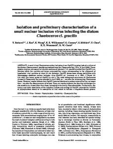 Isolation and preliminary characterisation of a small nuclear inclusion ...