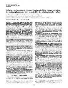 Isolation and structural characterization of cDNA clones encoding the