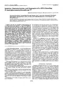 Isolation, Characterization, and Expression of a cDNA Encoding N ...