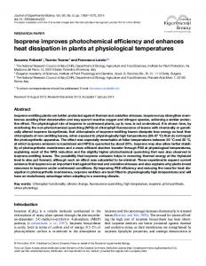 Isoprene improves photochemical efficiency and ... - Oxford Journals