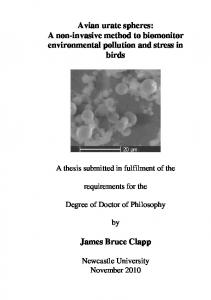 Jim Thesis cover page