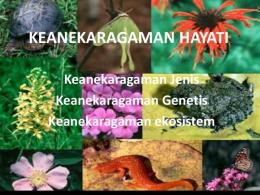 KEANEKARAGAMAN HAYATI.pdf - biology911