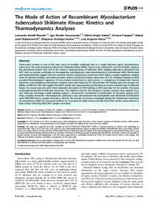 Kinetics and Thermodynamics Analyses