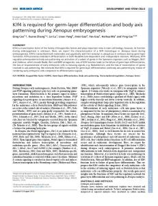 Klf4 is required for germ-layer differentiation and ... - Semantic Scholar