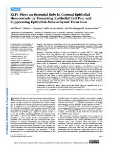 KLF4 Plays an Essential Role in Corneal Epithelial