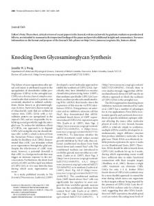 Knocking Down Glycosaminoglycan Synthesis - Journal of ...