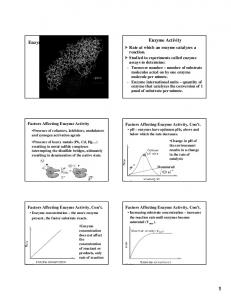 L2 - Enzyme Activity