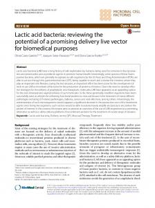 Lactic acid bacteria - Core