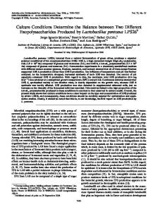 Lactobacillus pentosus