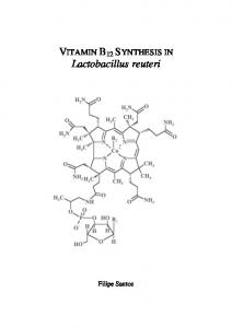 Lactobacillus reuteri