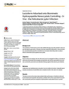 Lactoferrin Adsorbed onto Biomimetic