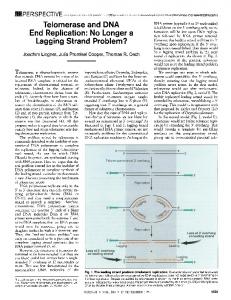 Lagging Strand Problem?