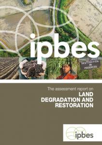 land degradation and restoration