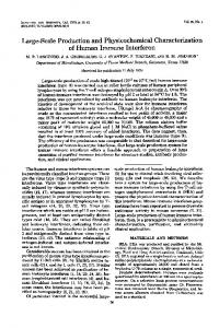 Large-Scale Production and Physicochemical Characterization