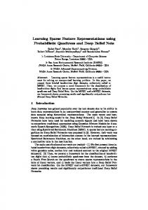 Learning Sparse Feature Representations using ... - Computer Science